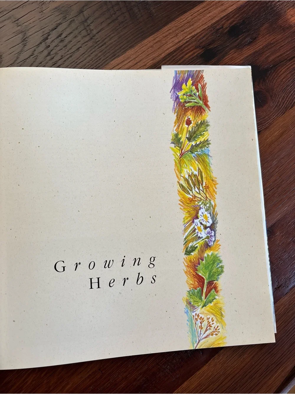 Vintage Hardcover Herb Book, The complete book of HERBS.1994,Gardens,Photographs